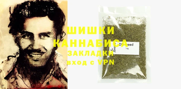 прущие грибы Вязники